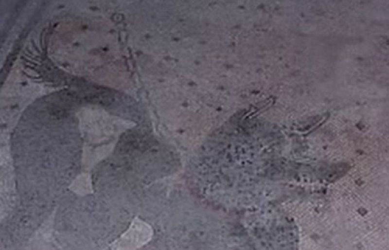 Plan de rescate para Pompeya | Ver