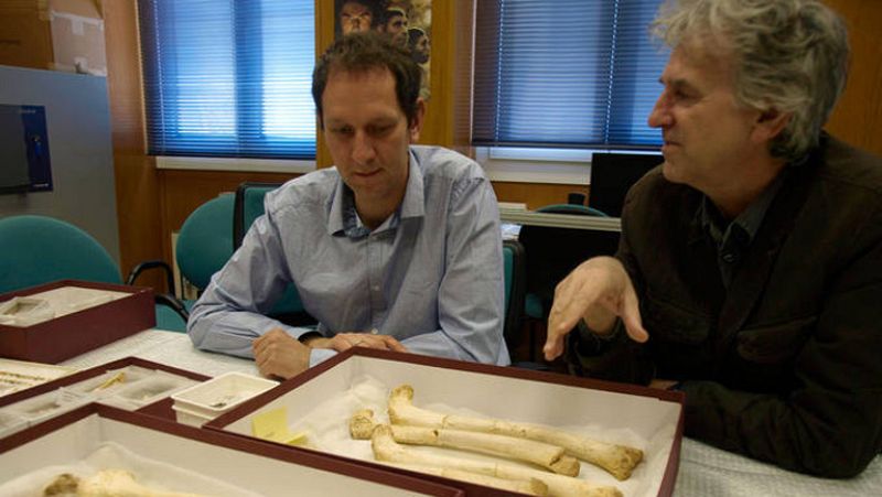 Los pobladores de Atapuerca  tenían antepasados euroasiáticos