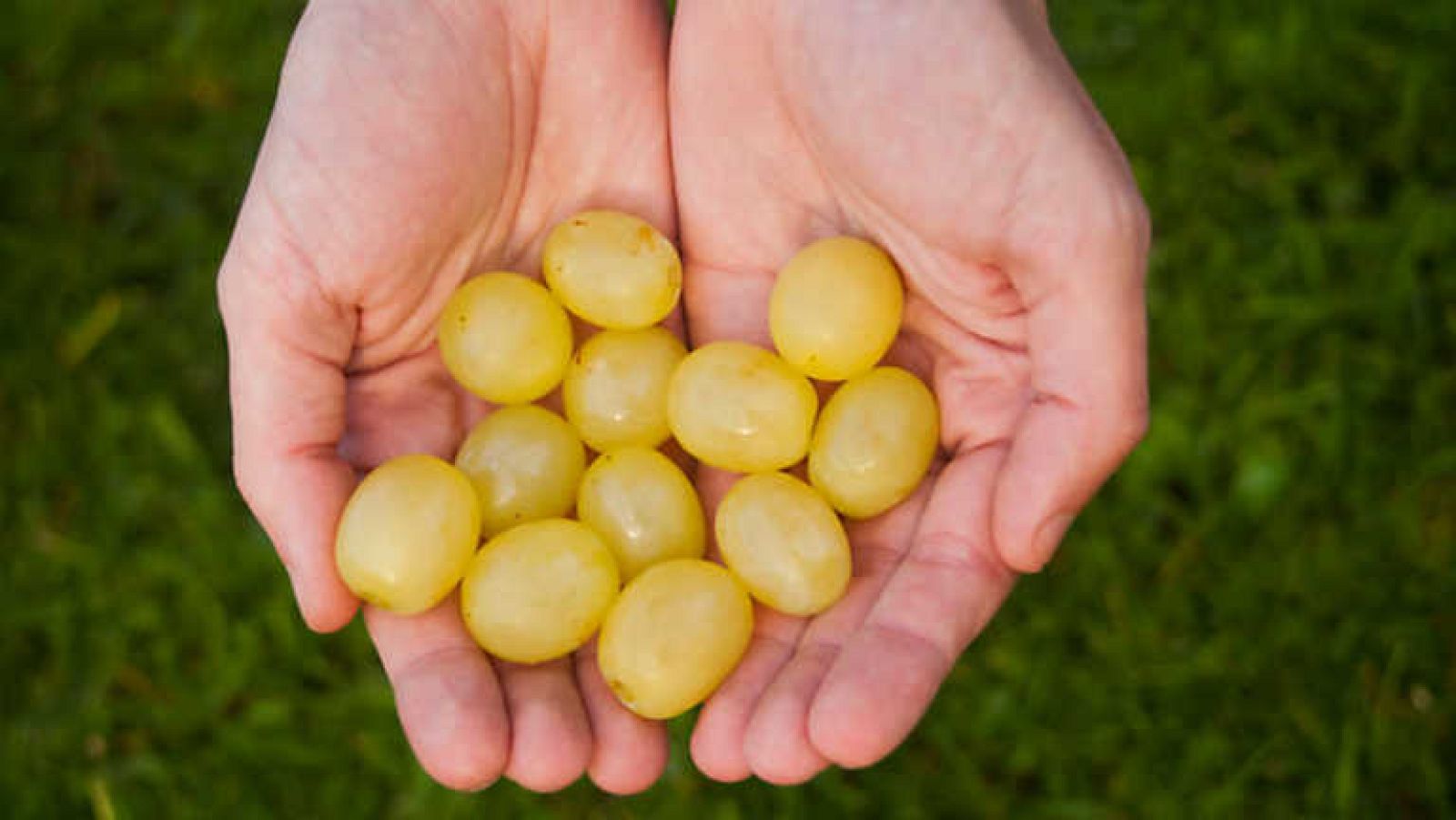 Comando Actualidad - Ventas a lo grande - ver ahora