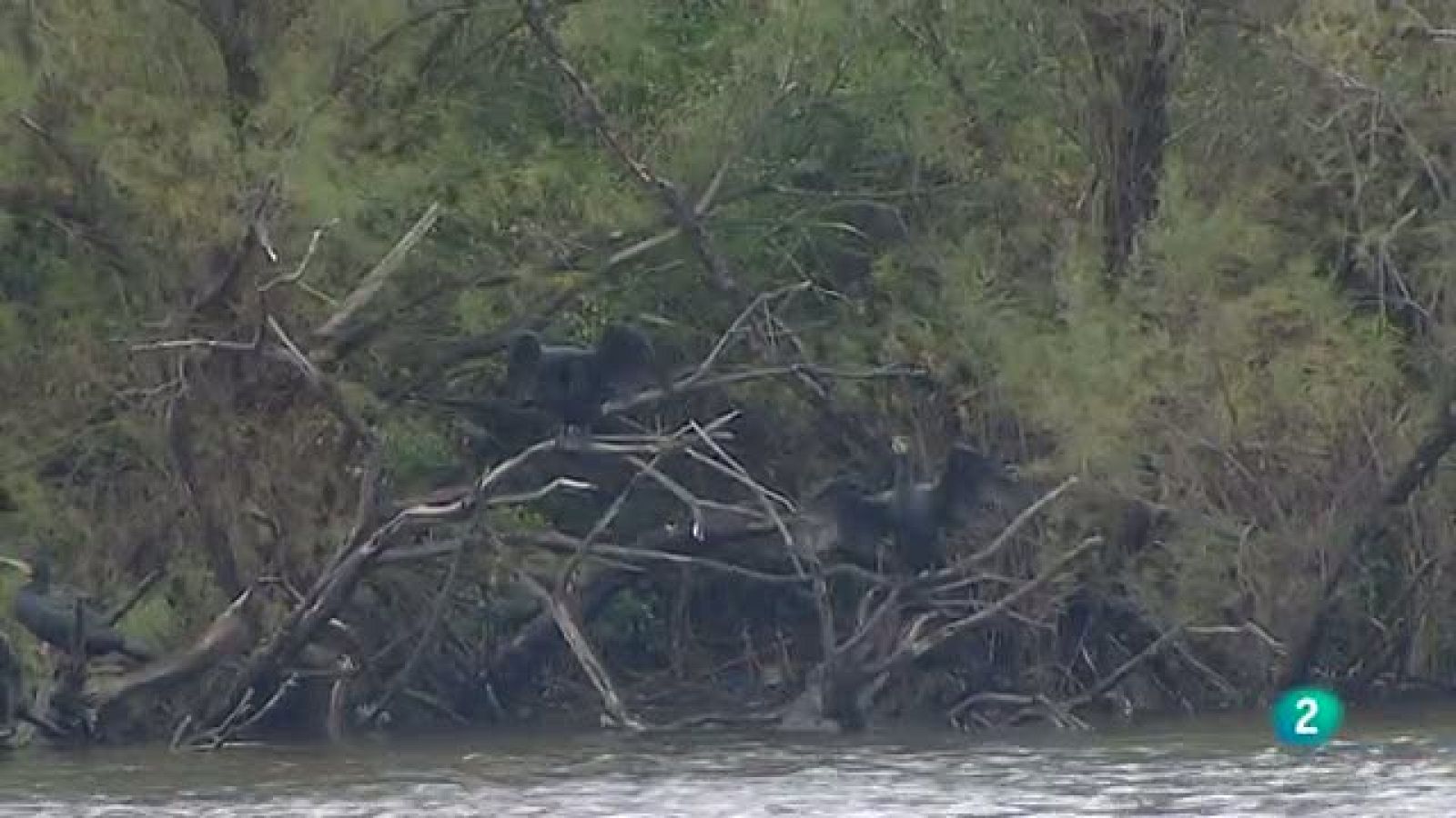 AQHT - Nuevo Turismo Rural - Aquí hay trabajo | Ver