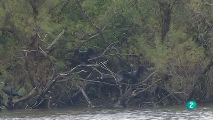 Aquí hay trabajo - Nuevo Turismo Rural