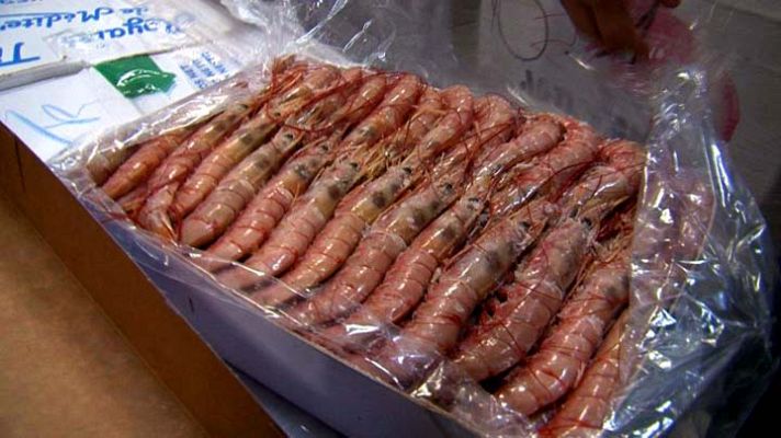 Comando Actualidad - Marisco importado, Getafe