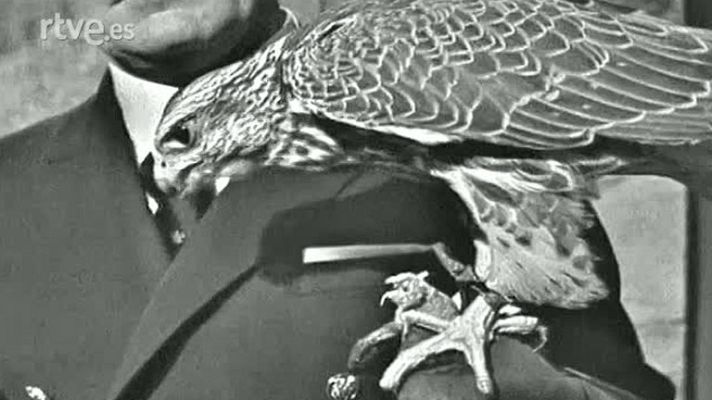 El planeta azul - Las aves de presa