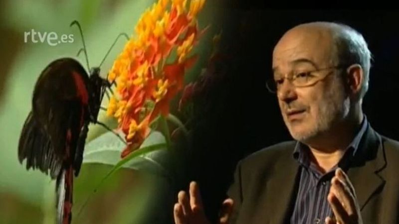 Arxiu TVE Catalunya - Gran Angular - Pensar l'amor