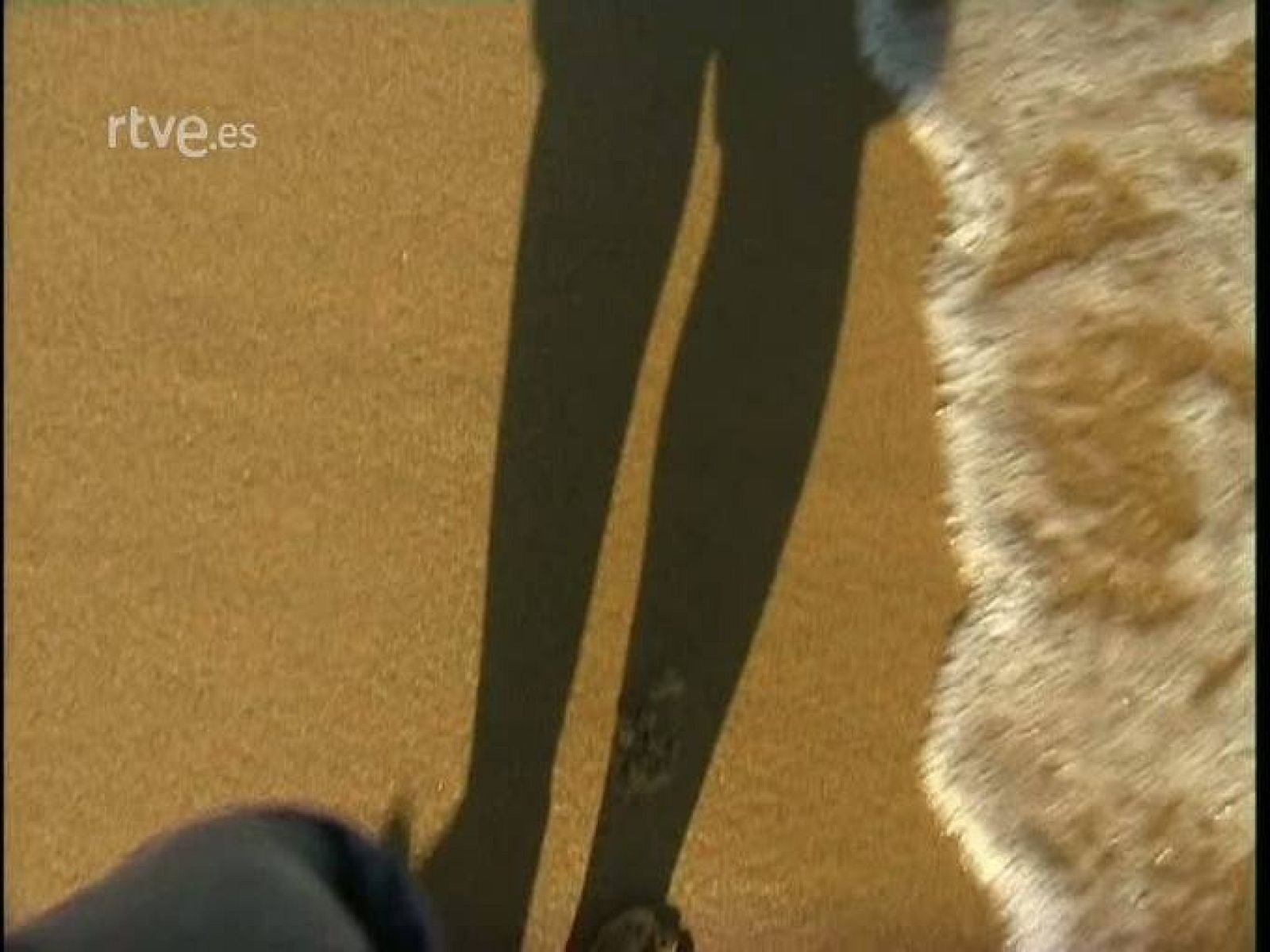 Arxiu TVE Catalunya - Gran Angular -  Pensar la bogeria