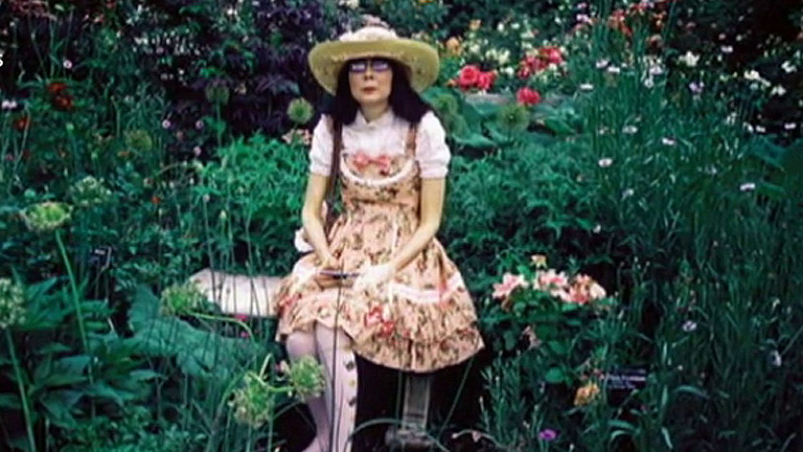 Fotógrafos de ida y vuelta entre España y EE.UU. | Ver