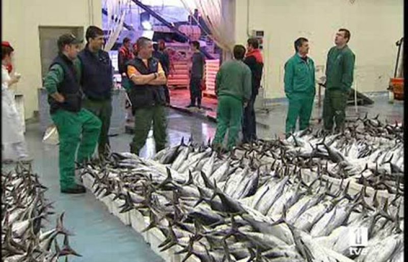 Los pescadores de bonito afrontan la caída de su precio así como la crisis del sector pesquero.
