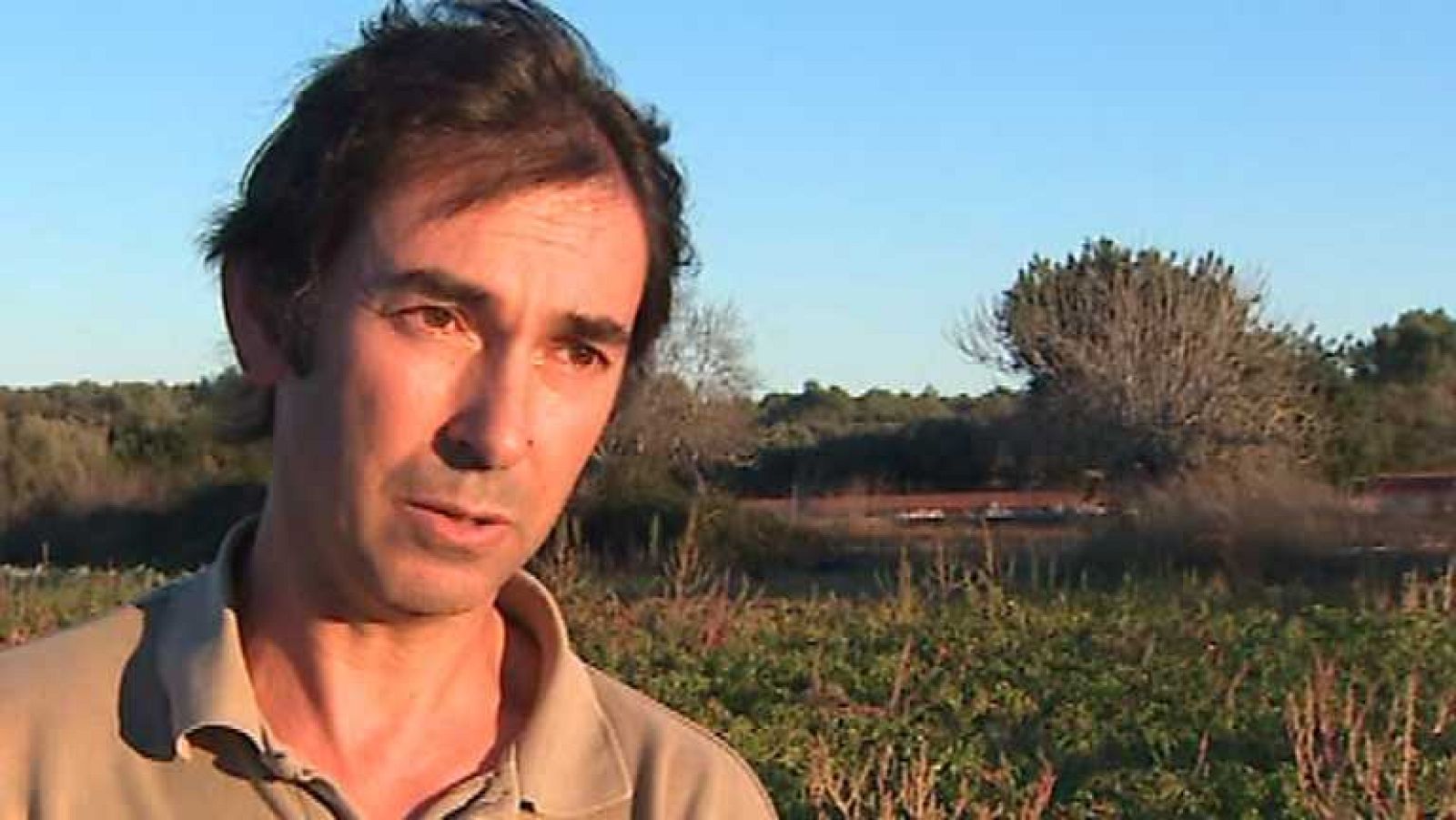 Agrosfera - 07/12/13 - Ver ahora