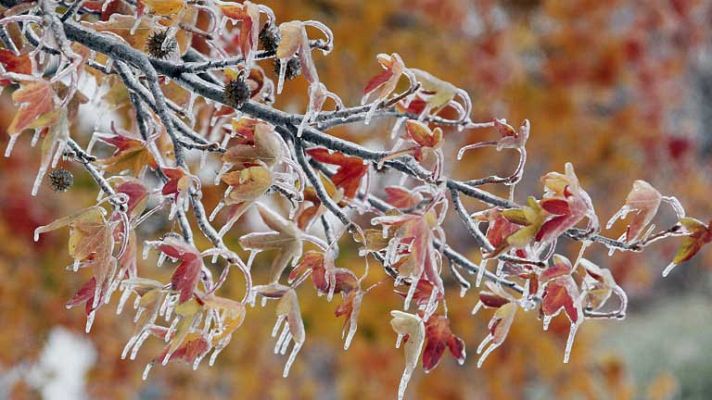 El tiempo - Cubierto en Canarias y chubascos en el Mediterráneo y el Estrecho