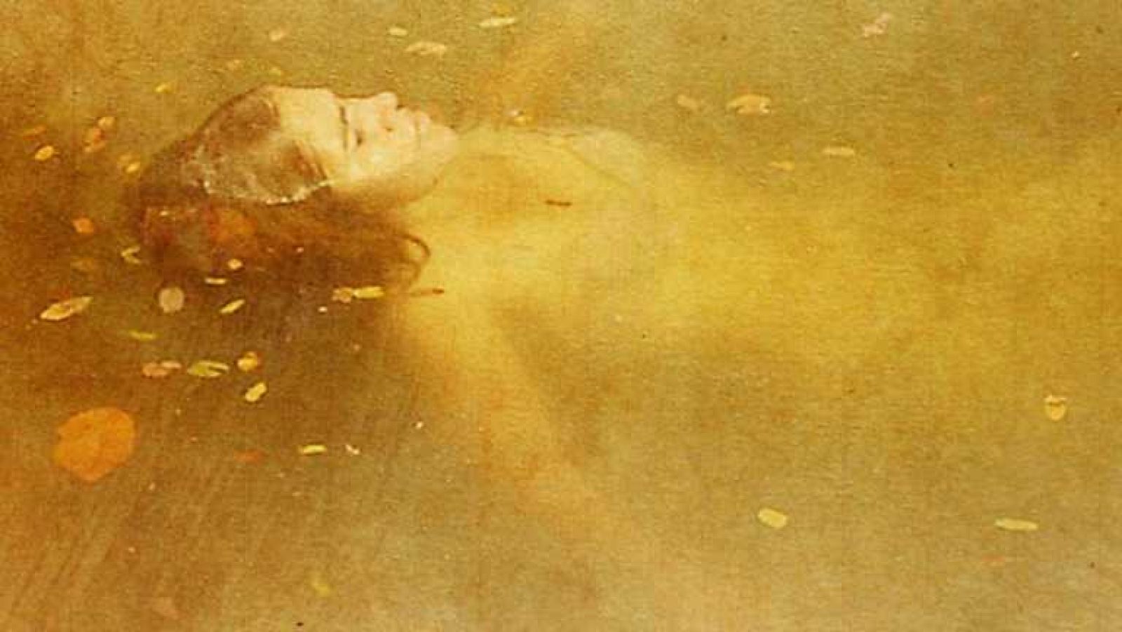 El documental de La 2 - La cigüeña metálica - Ver ahora