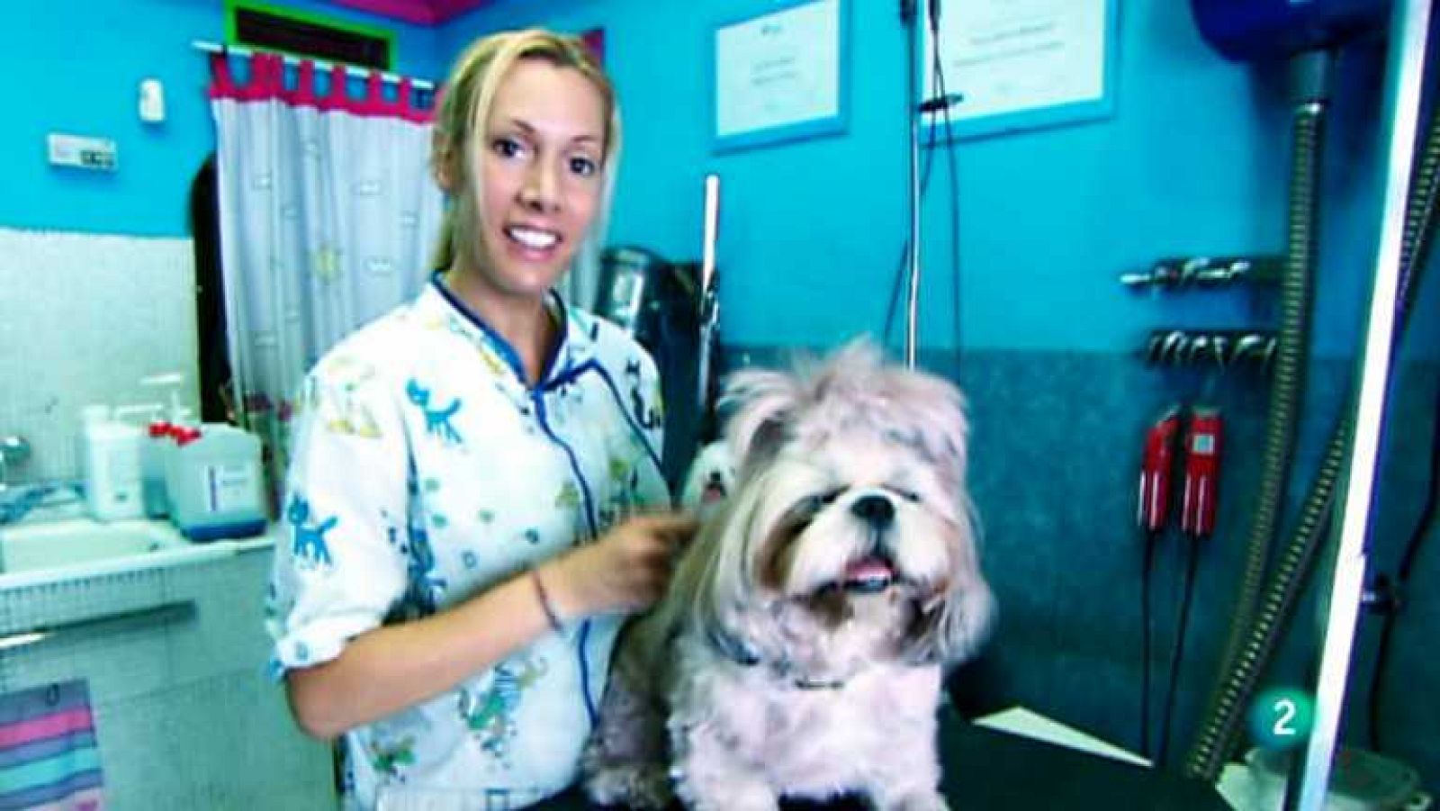 Aquí hay trabajo - 09/12/13 - Ver ahora