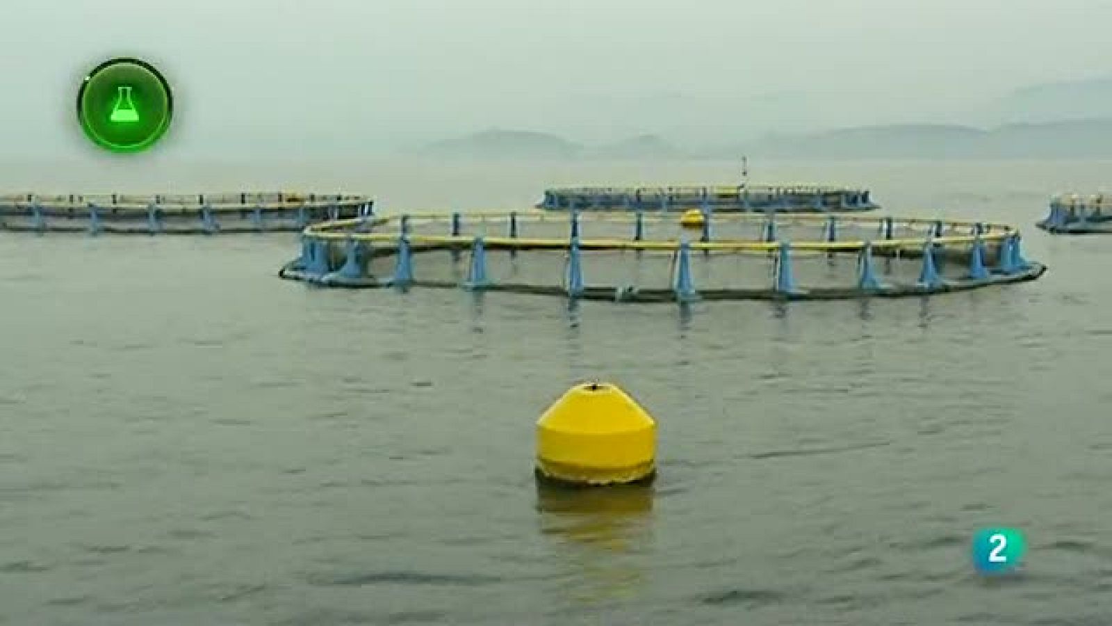 Agrosfera - Laboratorio de ideas - Acuicultura