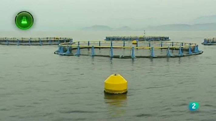 Agrosfera - Acuicultura