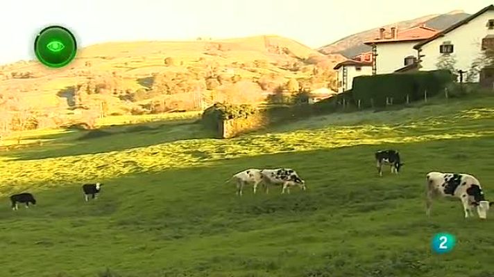 Agrosfera - Jaureguia