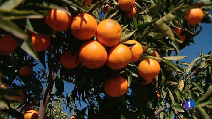 L'informatiu - Comunitat Valenciana - La Comunidad Valenciana en 2' - 09/12/13