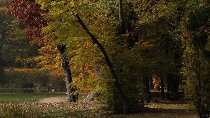 Informativo de Madrid - El tiempo en la Comunidad de Madrid - 09/12/13