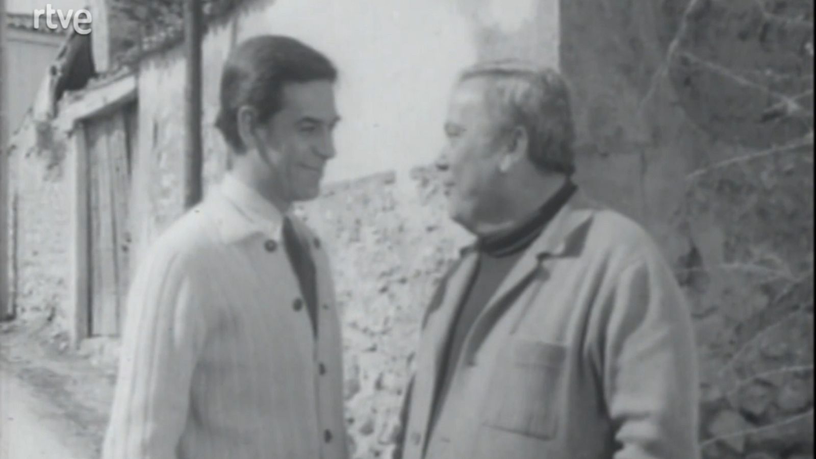 Crónicas de un pueblo - La fiesta del azadón