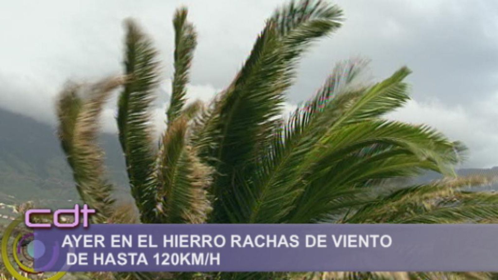 Cerca de ti - 11/12/13 - Cerca de ti | Ver