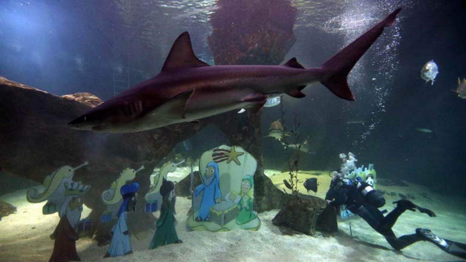 Informativo de Madrid - 12/12/13