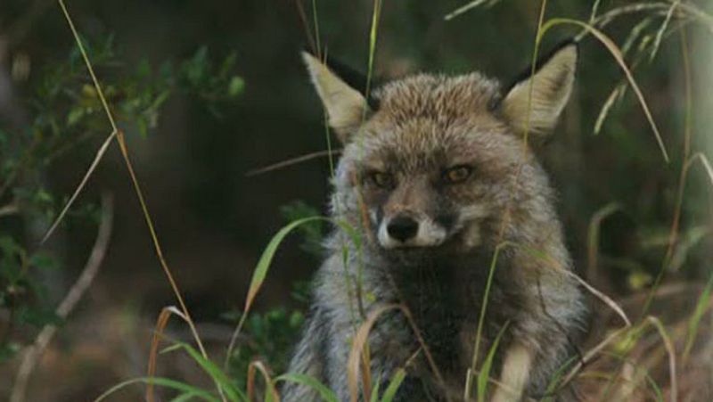 Días de cine: 'Guadalquivir'