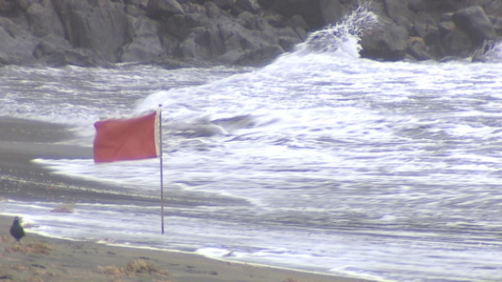 Telecanarias - 14/12/13 | Ver