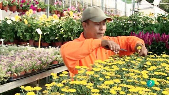 Aquí hay trabajo - Aquí hay trabajo - 16/12/13