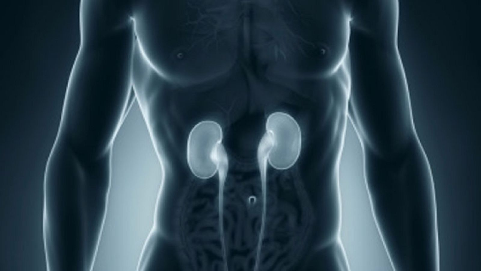 Saber vivir - 16/12/13 - Ver ahora