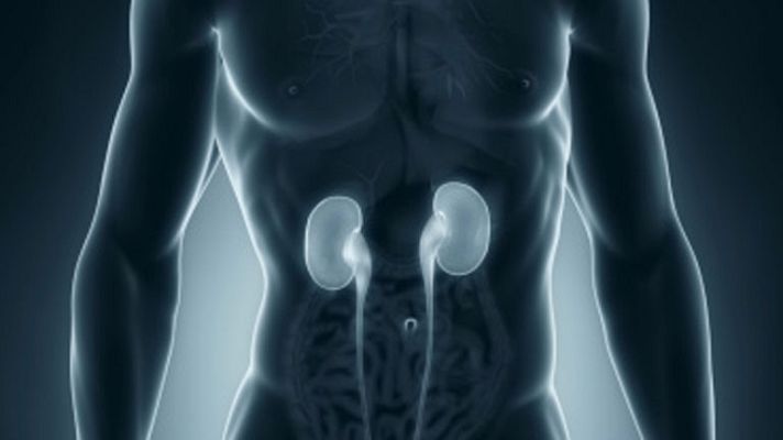 La mañana - Cuida tus riñones