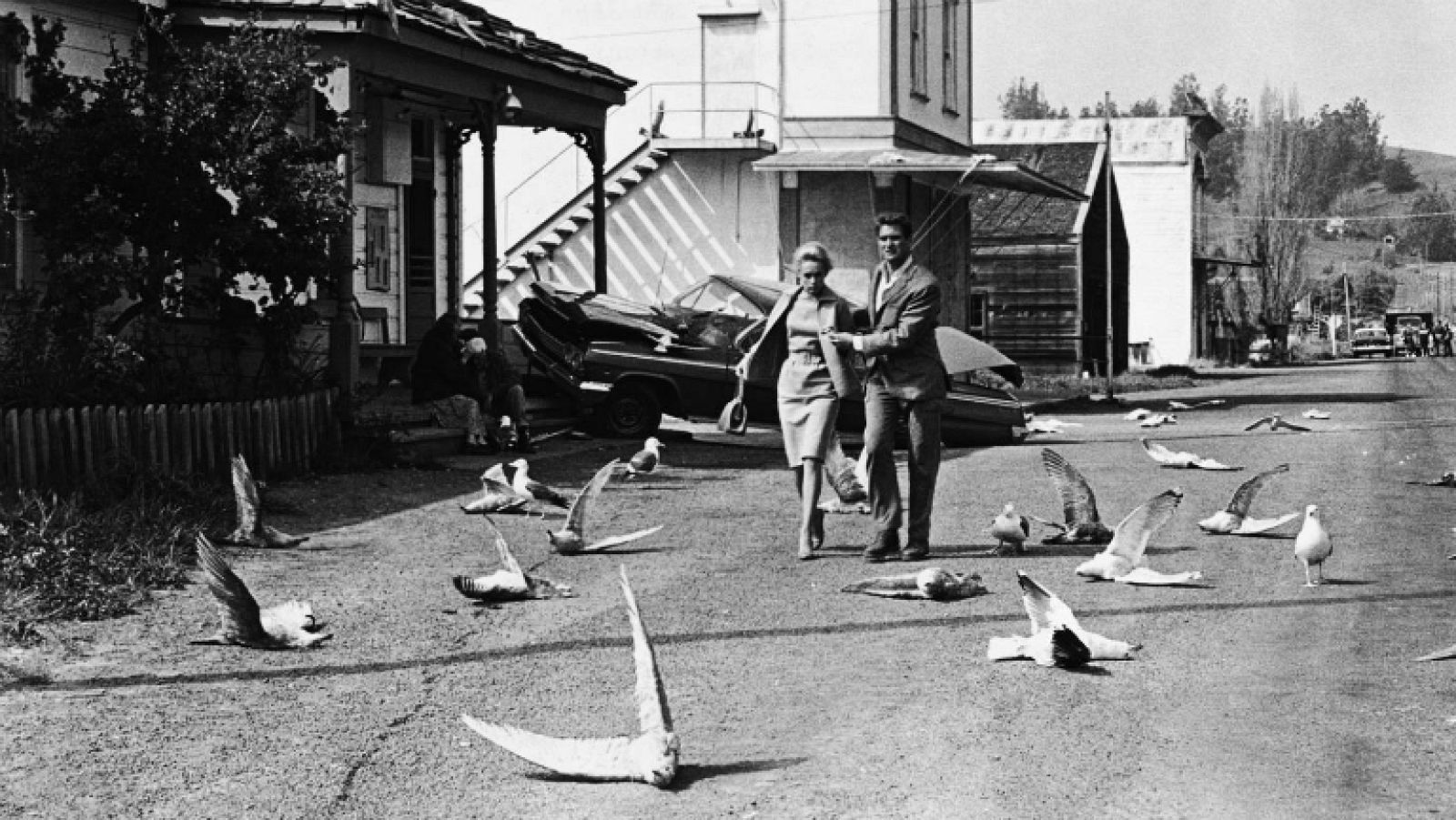 'Los pájaros' Trailer - Clásicos de La 1 | Ver