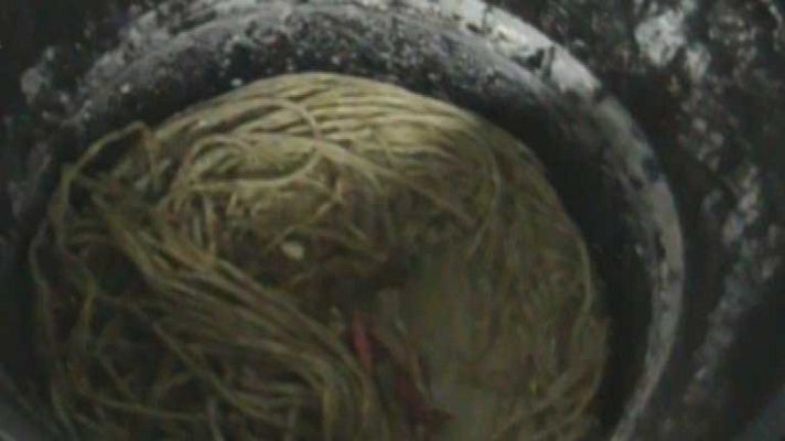 Telediario 1 - 500 toneladas de comida en mal estado, fuera del menú navideño