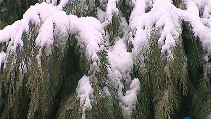 Panorama Regional - El tiempo en Asturias - 20/12/13