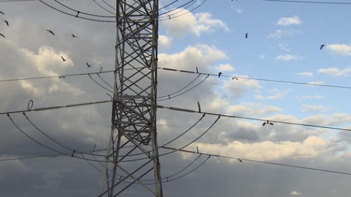 Telecanarias - Telecanarias - 20/12/13