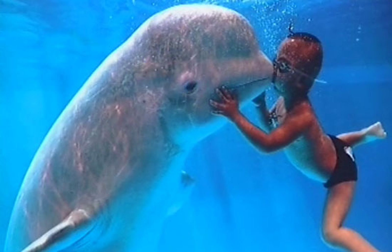 L'Oceanografic de Valencia toma conciencia de la importancia del agua