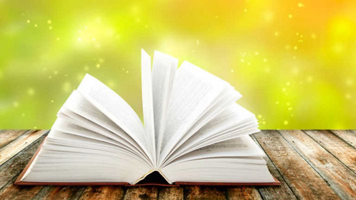 Página Dos - Especial Navidad