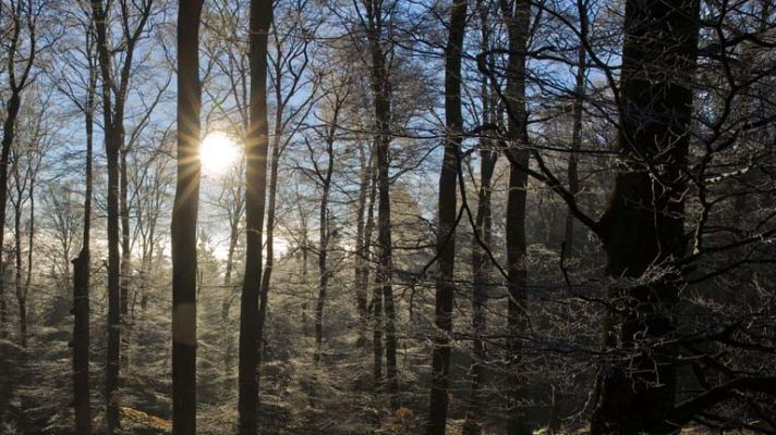 Informativo de Madrid - El tiempo en la Comunidad de Madrid - 23/12/13