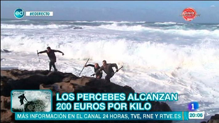 España Directo - Percebeiros:una profesión de riesgo