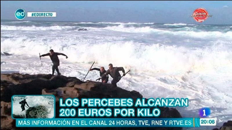 España Directo - Percebeiros: una profesión de riesgo