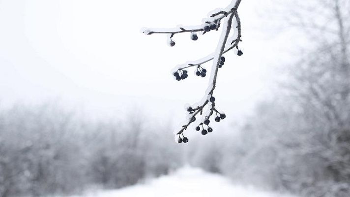 Telediario 1 - Temporal en EE.UU y Canadá