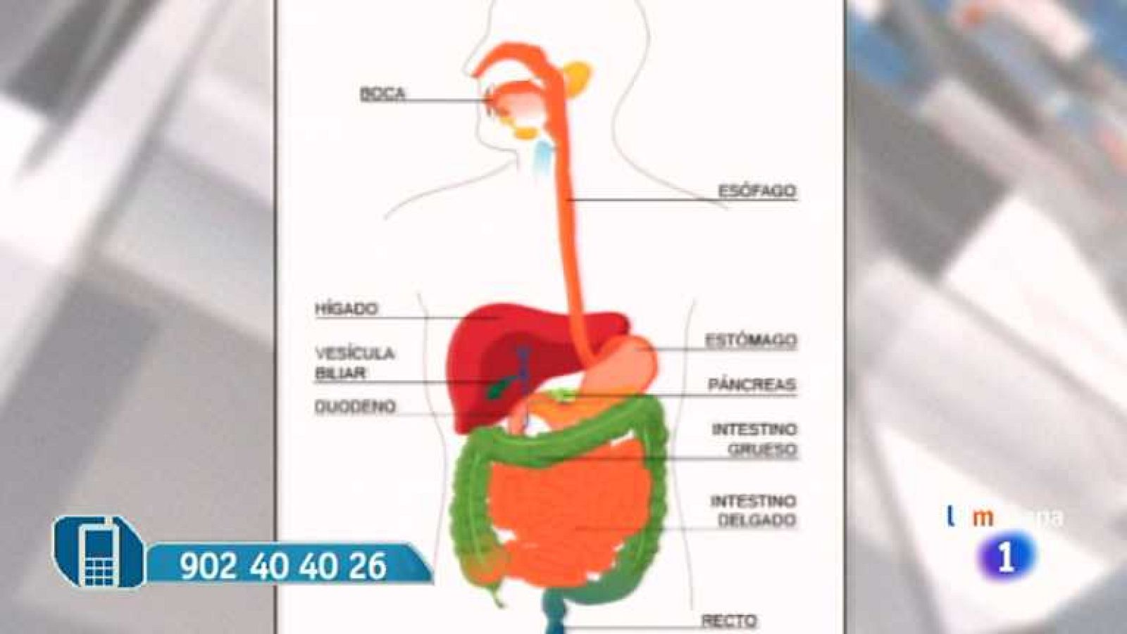 Saber vivir - 26/12/13 - Ver ahora