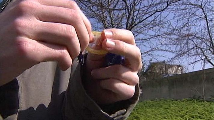 Telediario 1 - Francia baja el IVA a los condones