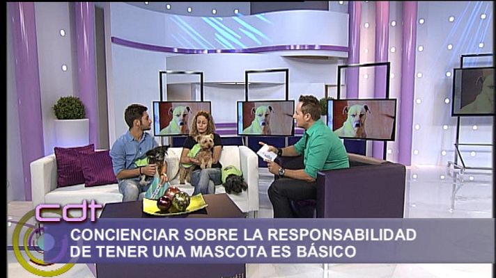 Cerca de ti - Cerca de ti - 27/12/13