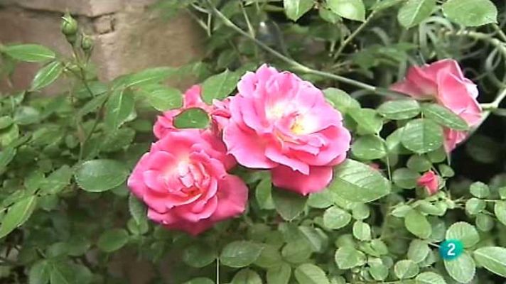 España en comunidad - Resumen 2013 (1ª parte)