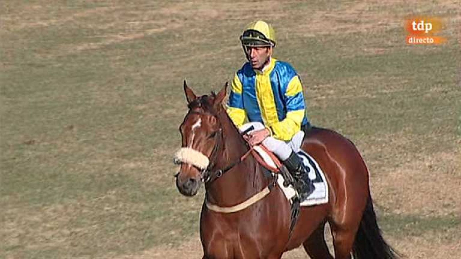 Turf - 29/12/13 - Ver ahora