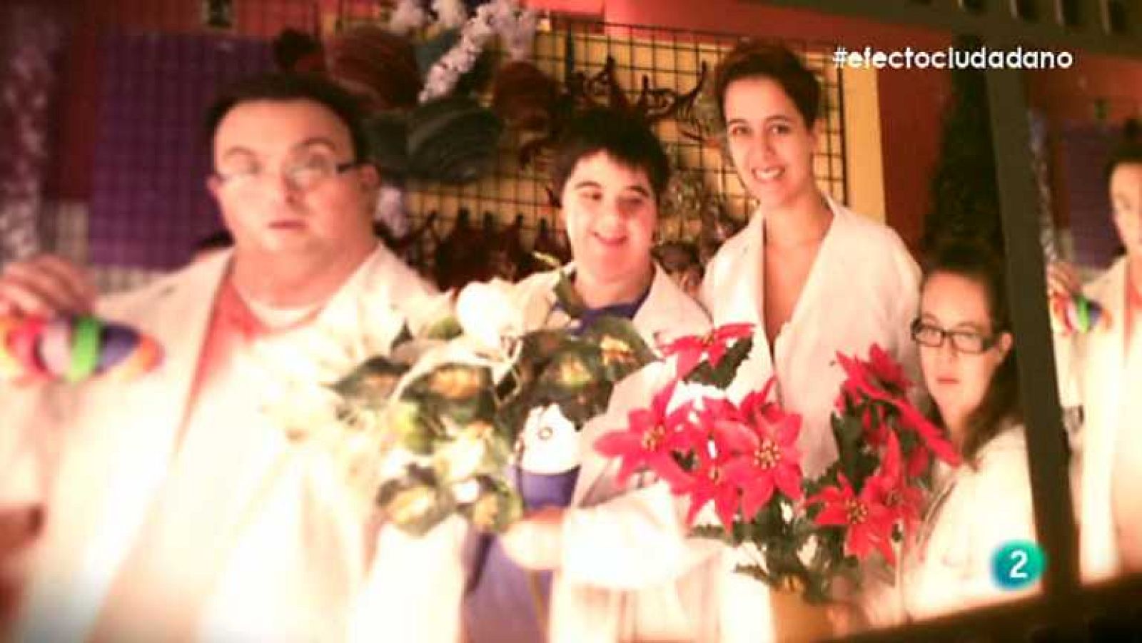 Efecto Ciudadano - 29/12/13 - Ver ahora