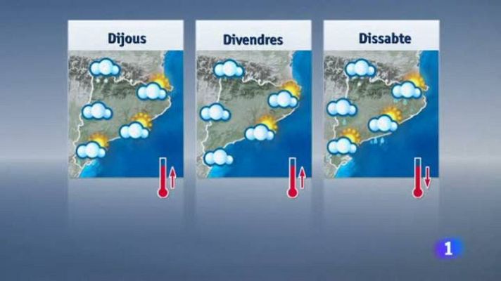 L'Informatiu - El temps - 31/12/13