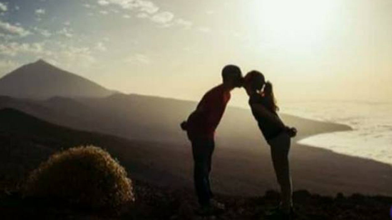 Así ha sido 2013 para los usuarios de RTVE.es