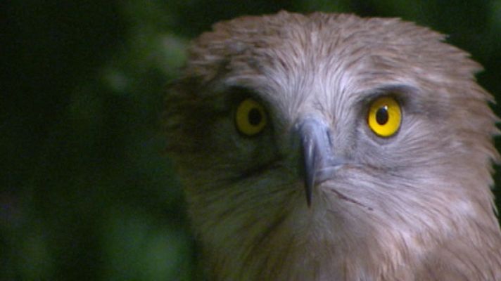 Informativo de Madrid - Informativo de Madrid 2 - 02/01/14