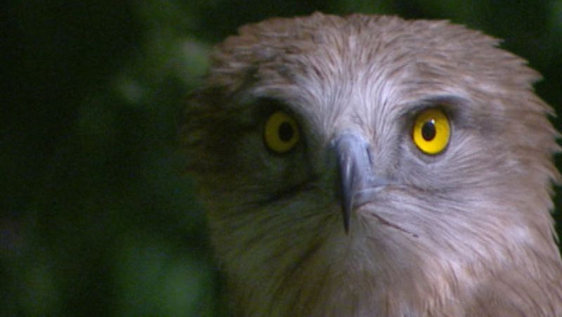 Informativo de Madrid 2 - 02/01/14