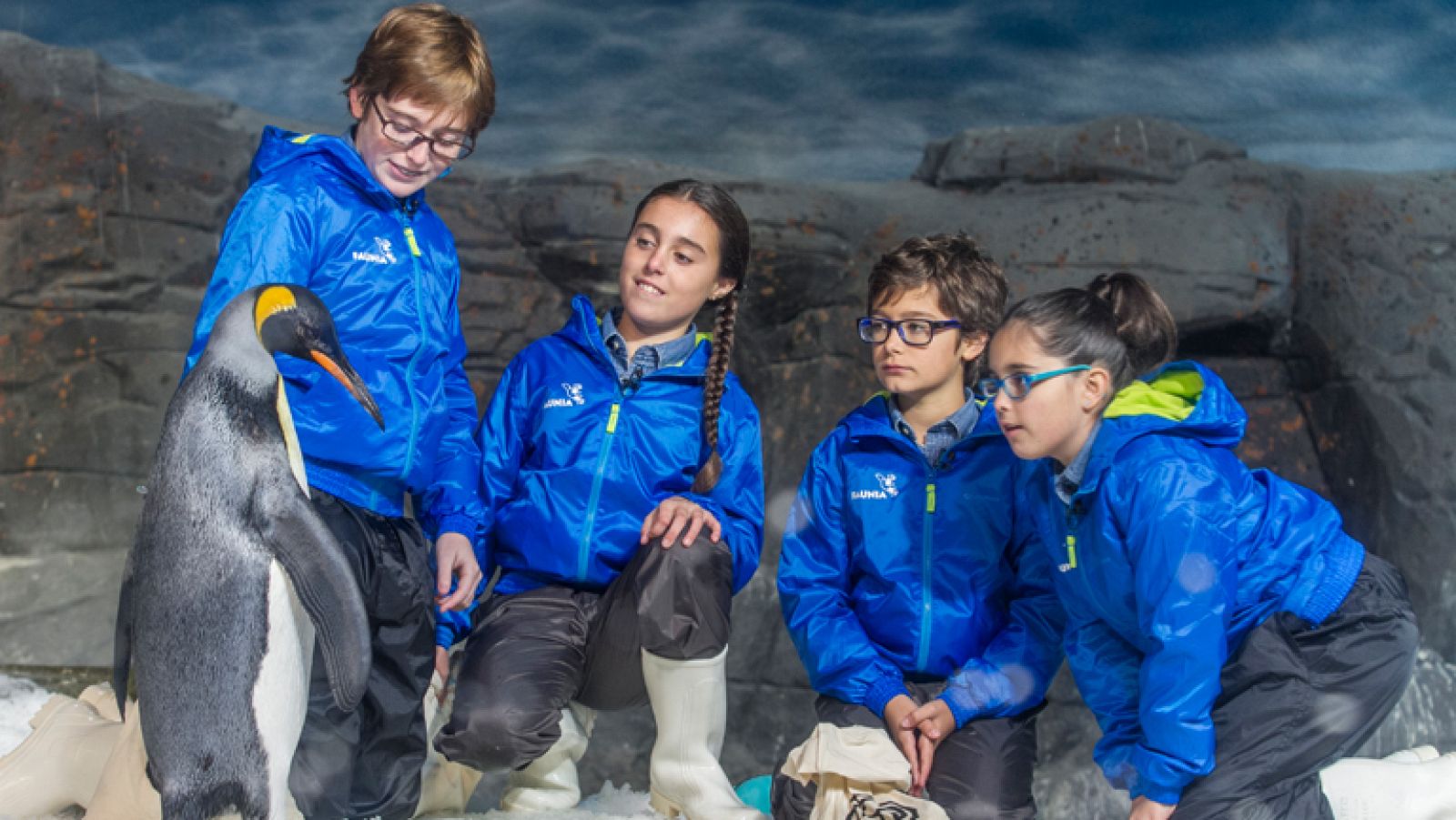 MasterChef Junior - P4. Prueba de exteriores