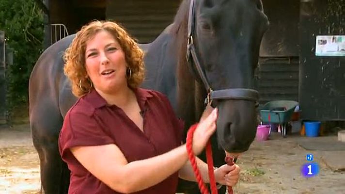 Españoles en el mundo - Cambridge - Belén